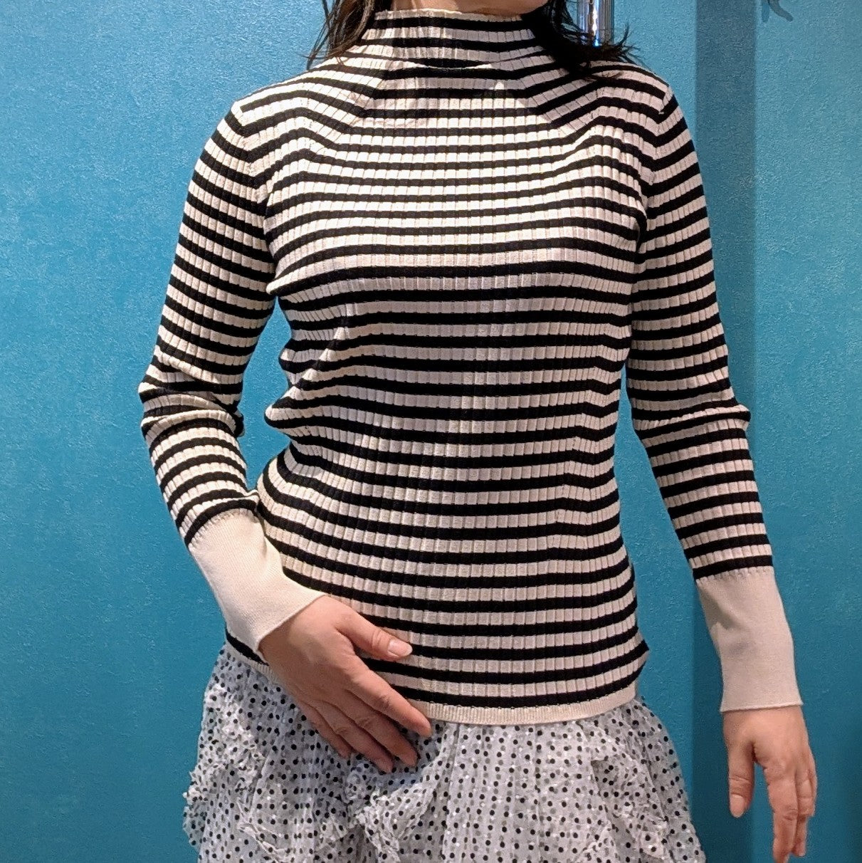 フィットアンドフレアリブハイネックニット