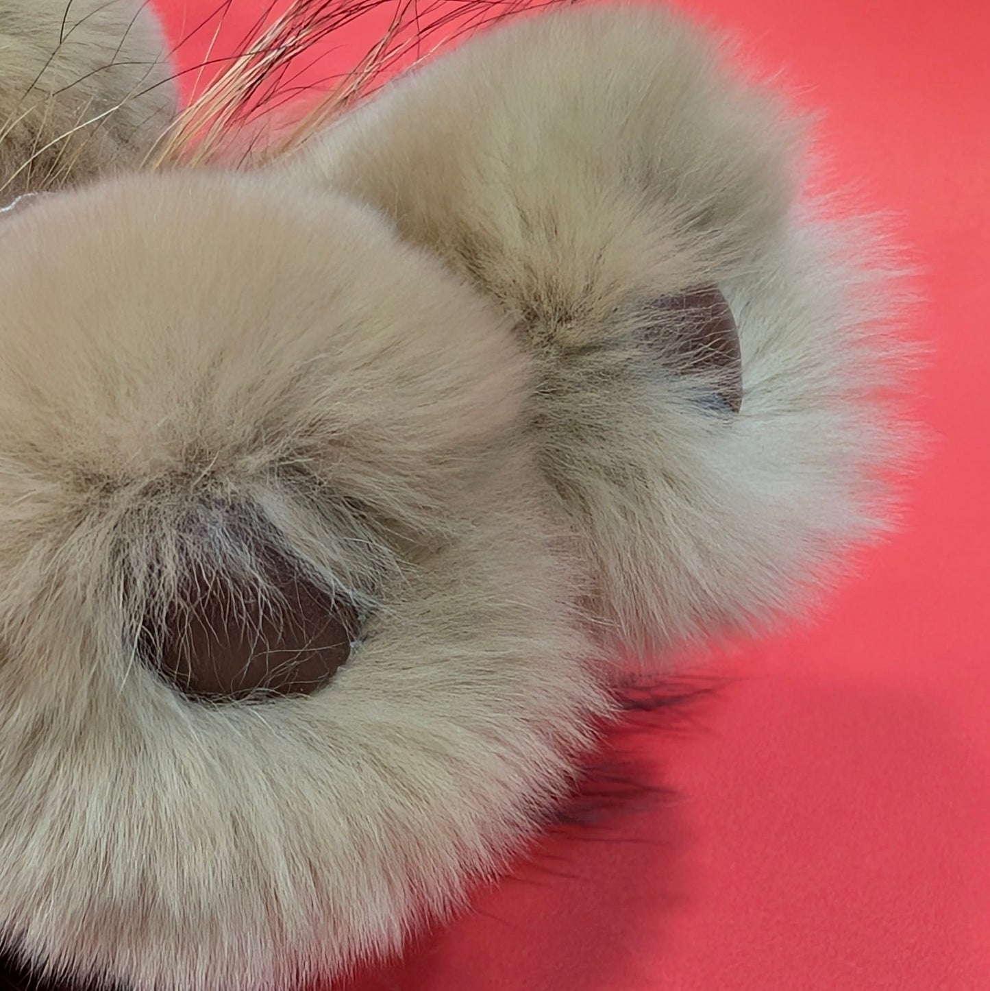 リアルミンク&フォックスファー【ライオン】チャーム