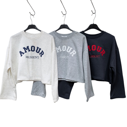 KOREA import 裏起毛刺繍ロゴショートスウェット